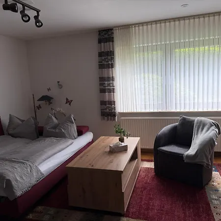 Klingelhoefer Lejlighed Willingen (Upland)