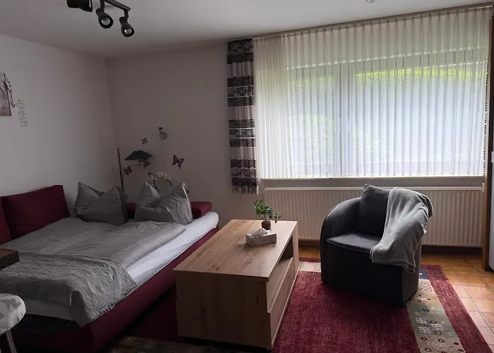 Klingelhoefer Апартаменты Виллинген